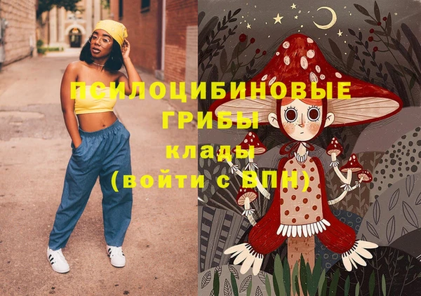стаф Баксан